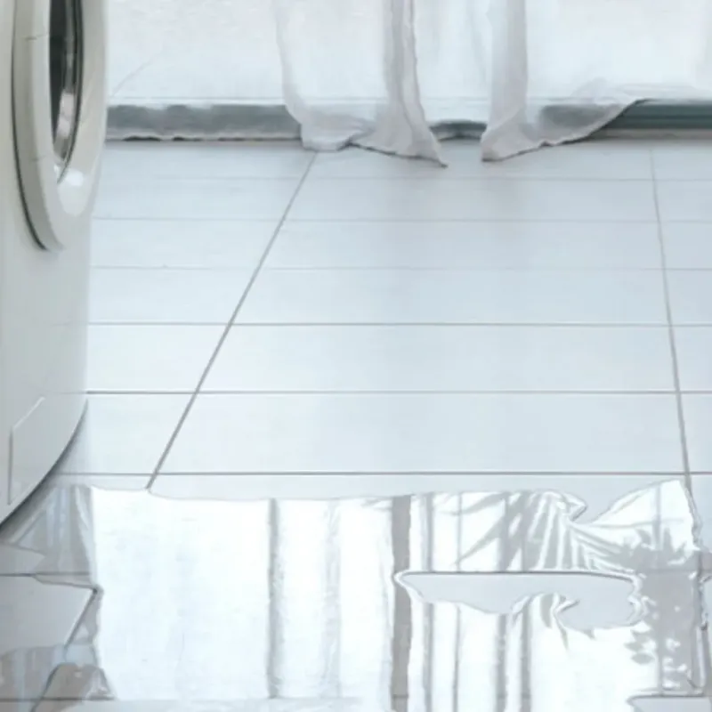 Appliance Leak Cleanup in Fairfax, SC