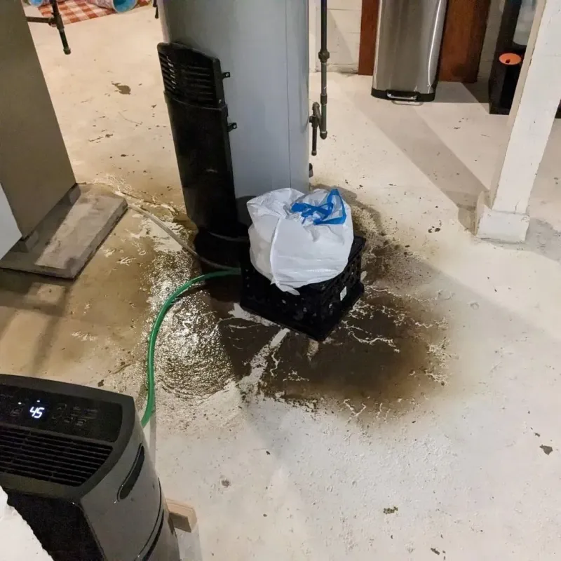 Sewage Backup Cleanup Service in Fairfax, SC
